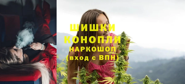 гашик Тайга
