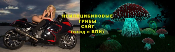 прущая мука Горняк