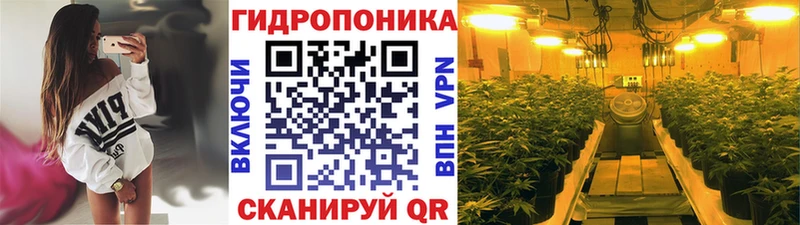 Канабис SATIVA & INDICA  Дмитриев 